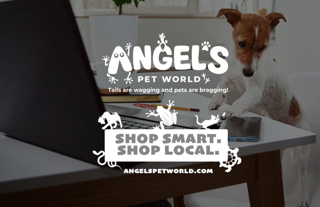 dog-hudson-shop-local-pet-supply-pet-food-pet-supply-angels-pet-world-hudson-wi